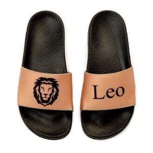 Leo zodiac slides