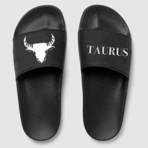 Taurus zodiac slides