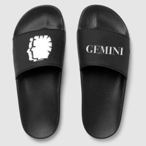 Gemini zodiac slides