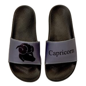Capricorn zodiac slides