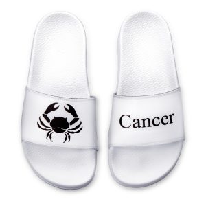 Cancer zodiac slides