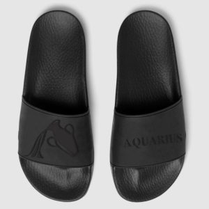 Aquarius zodiac slides