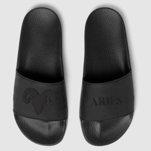 Aries zodiac slides