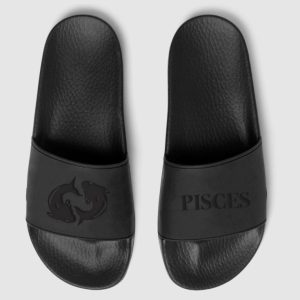 Pisces zodiac slides