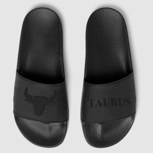 Taurus zodiac slides