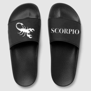 Scorpio zodiac-slides